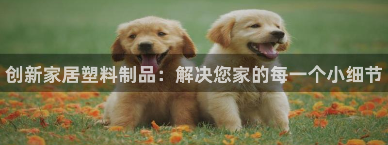 2138cn太陽集團古天樂·網上娛樂：創新家居塑料制品：解決