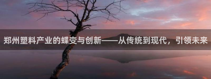 澳門太陽游戲城：鄭州塑料產業的蝶變與創新——從傳統到現代，引