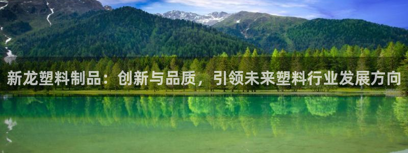 15vip太陽(yáng)集團(tuán)登錄：新龍塑料制品：創(chuàng)新與品質(zhì)，引領(lǐng)未來(lái)塑