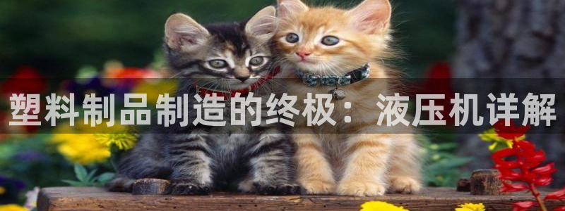 太陽成集團控股：塑料制品制造的終極：液壓機詳解