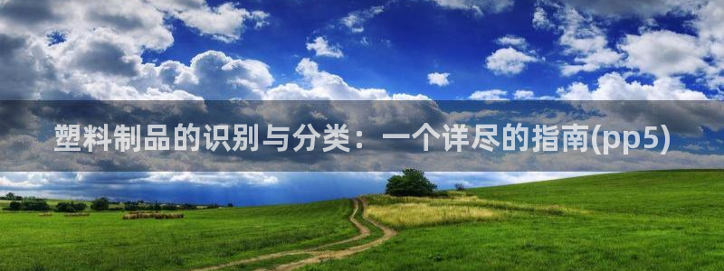 太陽集團市值：塑料制品的識別與分類：一個詳盡的指南(pp5)